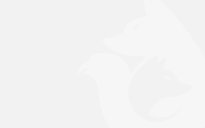 FiNiFuchs