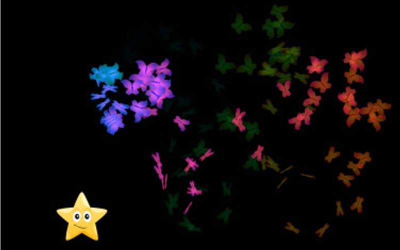 Look-to-learn-FiNiFuchs