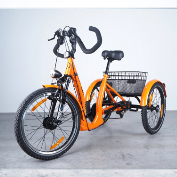 Hop_Trike_20_Zoll Therapierad Wolturnus FiNiFuchs