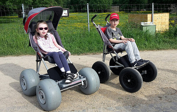 Elinas Fahrwerk Geländebuggy FiNiFuchs XL Nature Elinas Fahrwerk Geländebuggy FiNiFuchs XL Nature