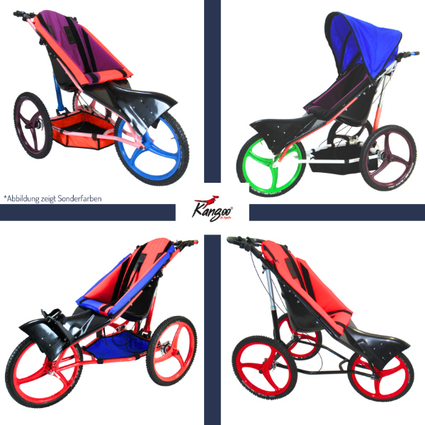 Kangoo Classic Rehawagen Bogetec