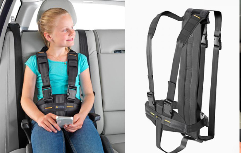 Careva Kombi Kit Reha Gurtsystem FiNiFuchs