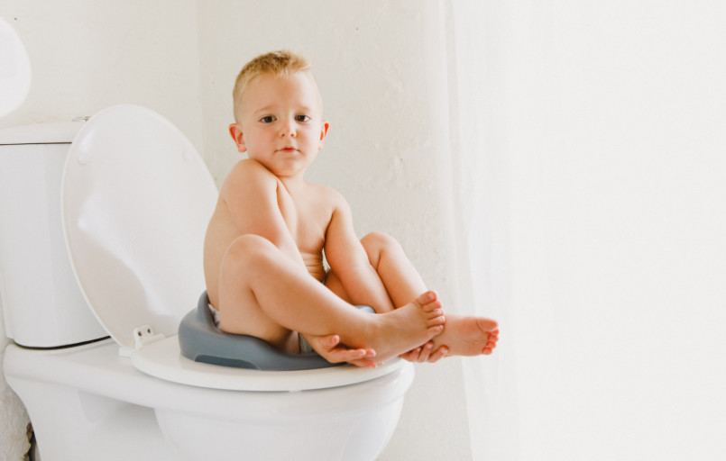 Toilettentrainer Toilettenhilfe Toilettenaufsatz toilet trainer Bumbo FiNiFuchs